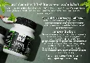 5.webp