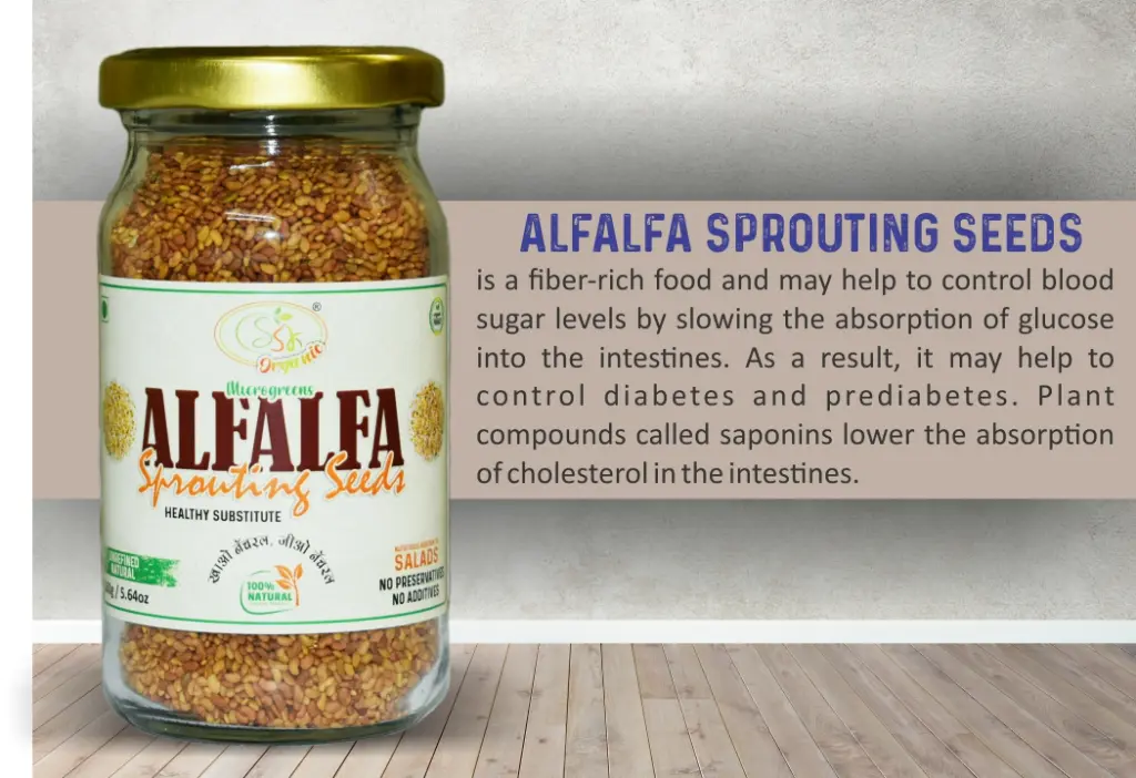 ALFALFA SEEDS 002.webp