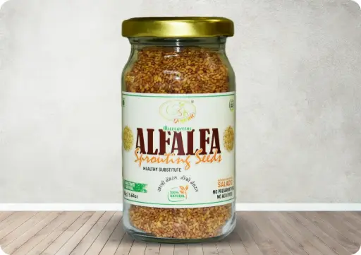 Alfalfa Sprouting Seeds | Nutritious Addition To Salads | 160g / 5.64oz